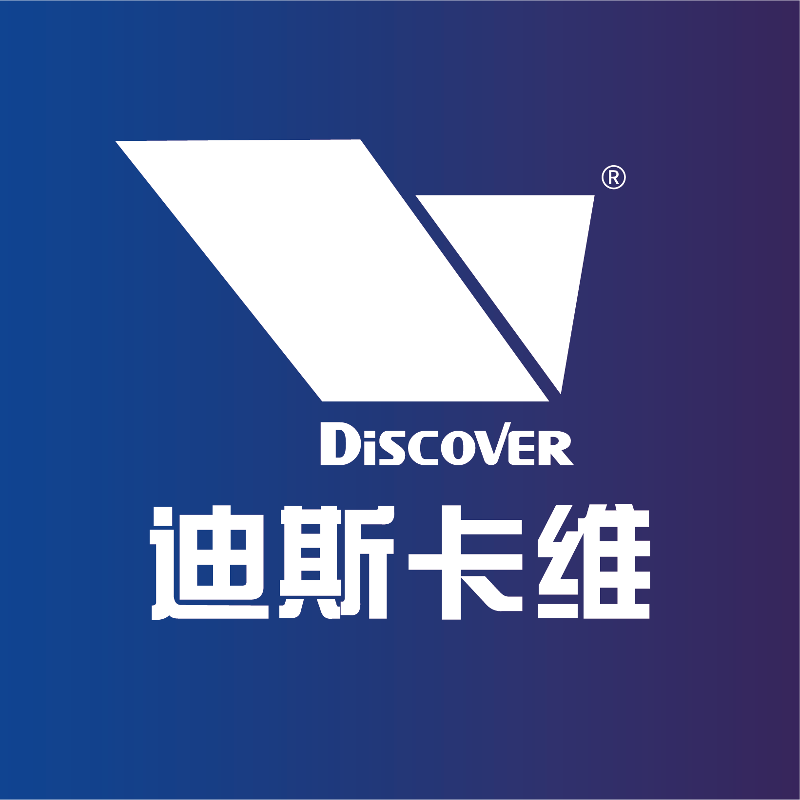 迪斯卡维